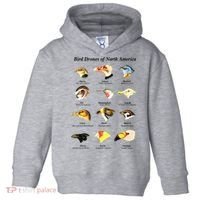 Bird Drones Of North America Toddler Hoodie thumb 0