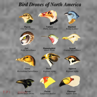 Bird Drones Of North America Toddler Hoodie thumb 2