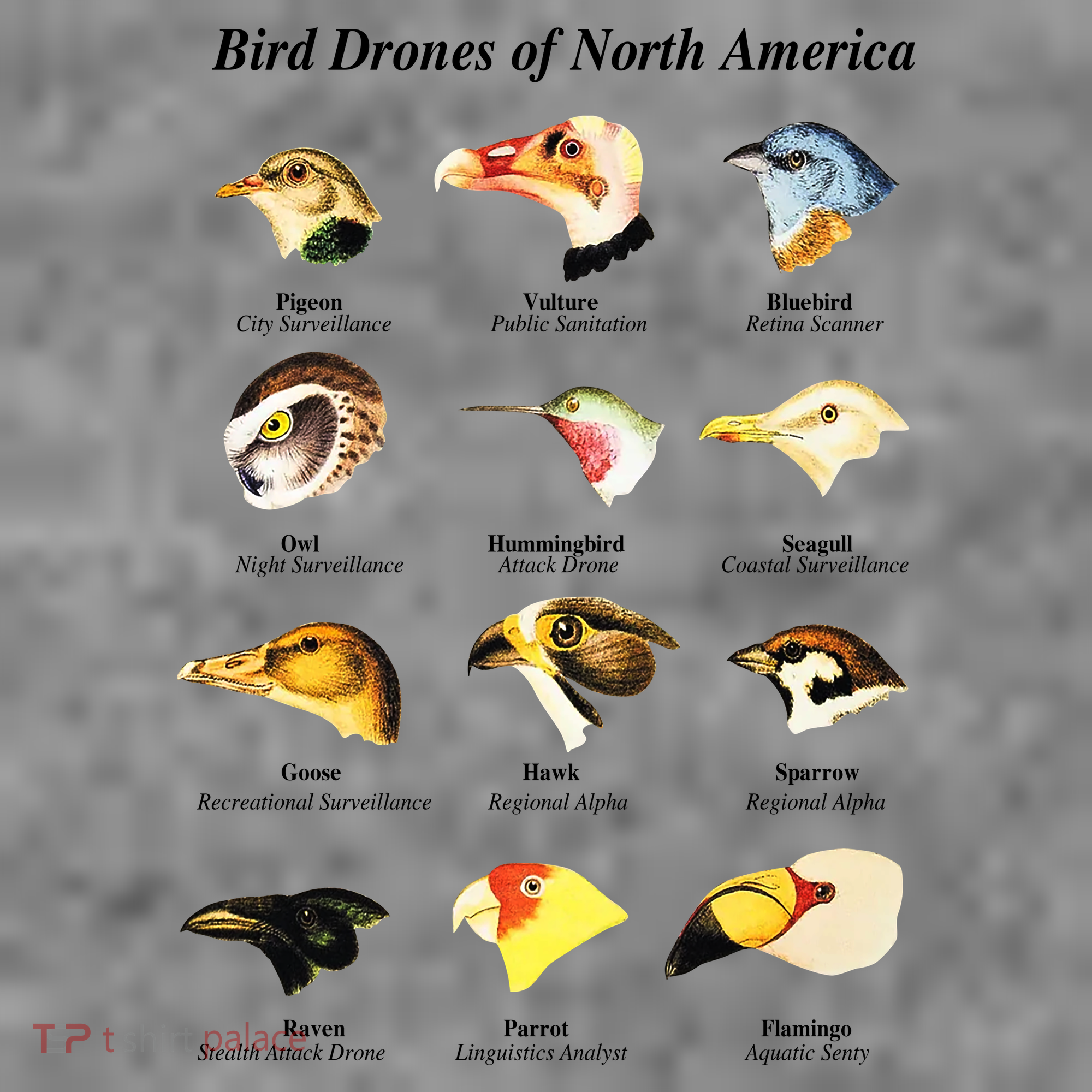 Bird Drones Of North America Toddler Hoodie