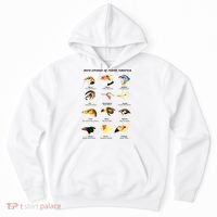 Bird Drones Of North America Hoodie thumb 0