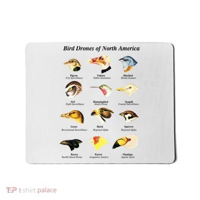 Bird Drones Of North America Mousepad
