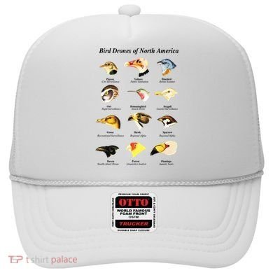 Bird Drones Of North America Hat