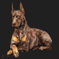 Brown Doberman Pinscher Tumbler thumb 3