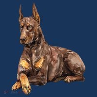 Brown Doberman Pinscher Pajama Set thumb 2