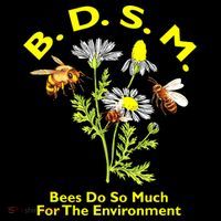 Bees Do So Much For The Environment Women's Long Sleeve Shirt thumb 2