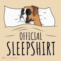 Boxer Dog Sleepshirt Tote Bag thumb 4