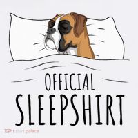 Boxer Dog Sleepshirt Women's Hoodie thumb 2