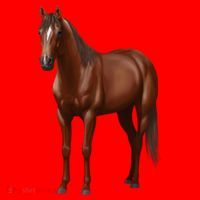 Beautiful Dark Sorrel Chestnut Quarter Horse Lover Retro Santa Hat thumb 1