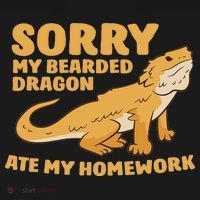 Bearded Dragon School My Bearded Dragon Ate My Homework Women's Hoodie thumb 2