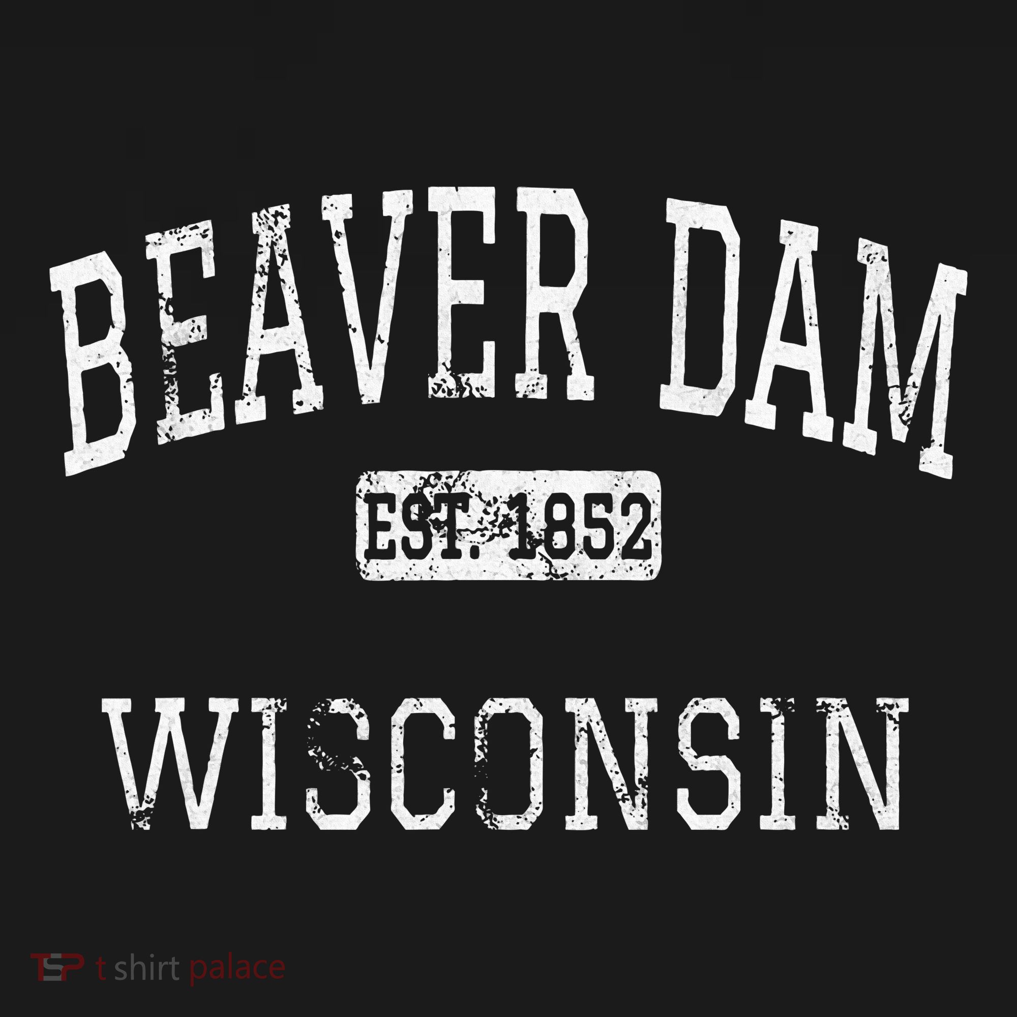 Beaver Dam Wisconsin Wi Vintage T-Shirt
