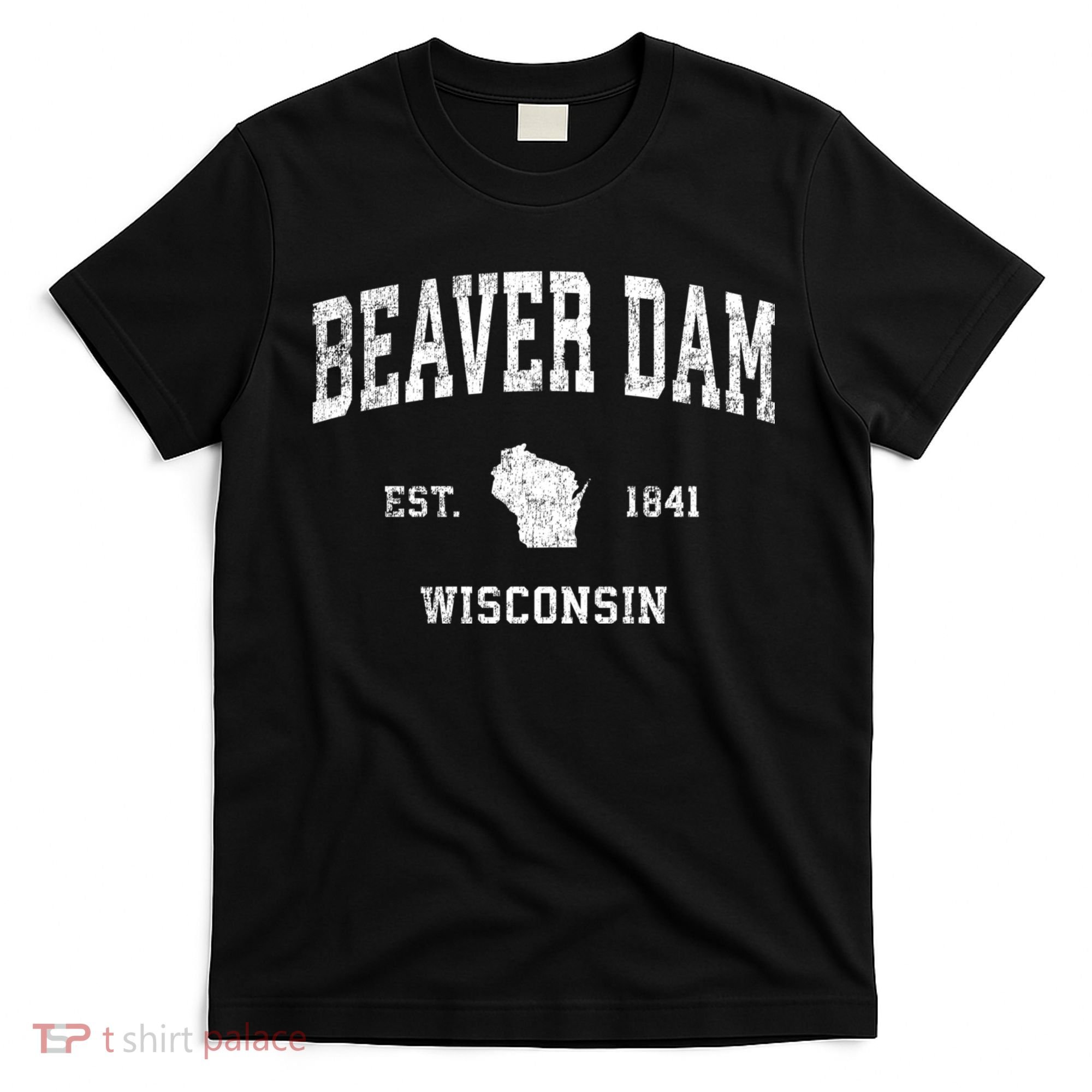 Beaver Dam Wisconsin Wi Vintage Sports T-Shirt