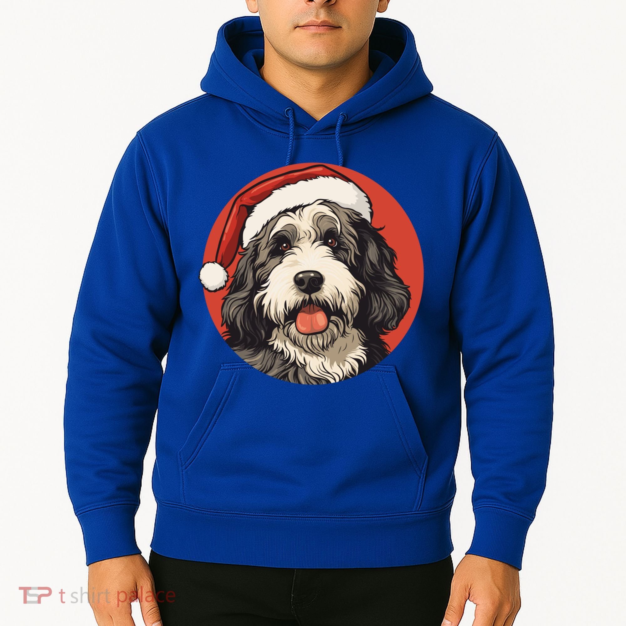 Bernedoodle Dog Xmas Doodle Dood Cute Christmas Bernedoodle Gift Hoodie
