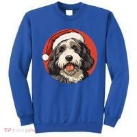 Bernedoodle Dog Xmas Doodle Dood Cute Christmas Bernedoodle Gift Sweatshirt thumb 0