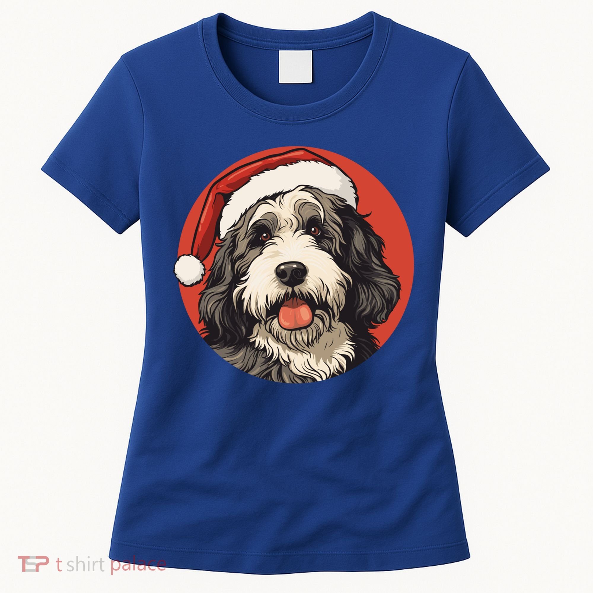 Bernedoodle Dog Xmas Doodle Dood Cute Christmas Bernedoodle Gift Women's T-Shirt