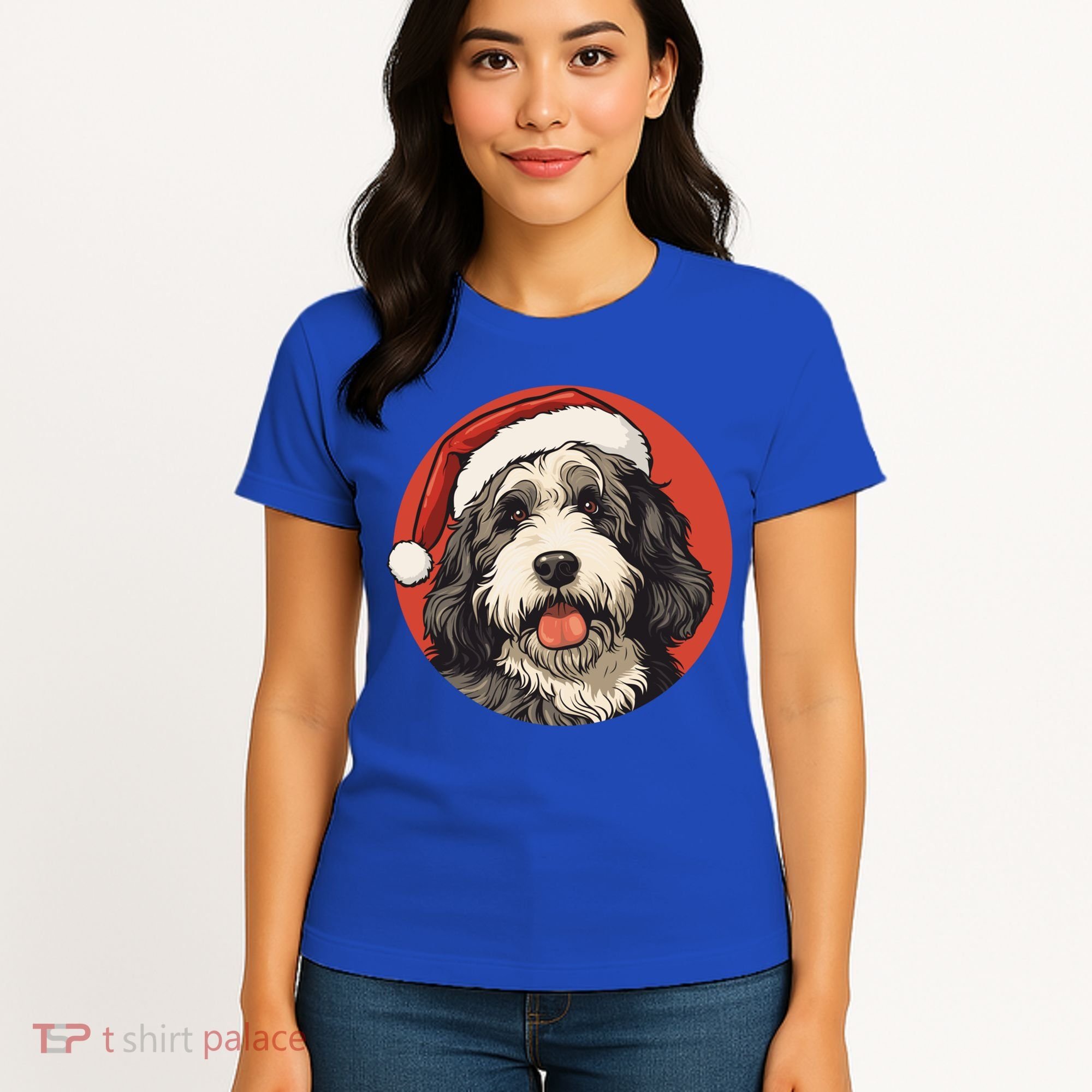 Bernedoodle Dog Xmas Doodle Dood Cute Christmas Bernedoodle Gift Women's T-Shirt