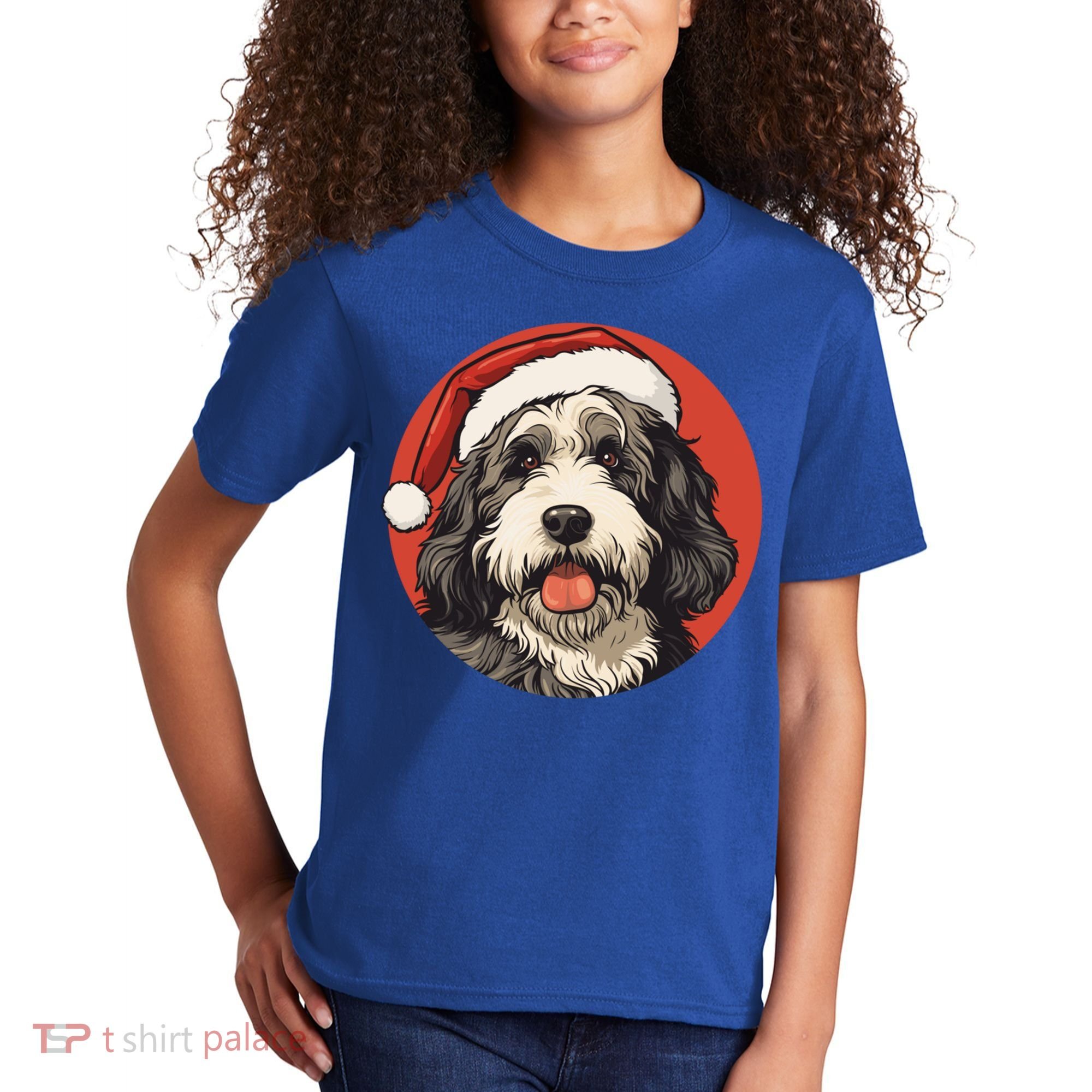 Bernedoodle Dog Xmas Doodle Dood Cute Christmas Bernedoodle Gift Kids T-Shirt