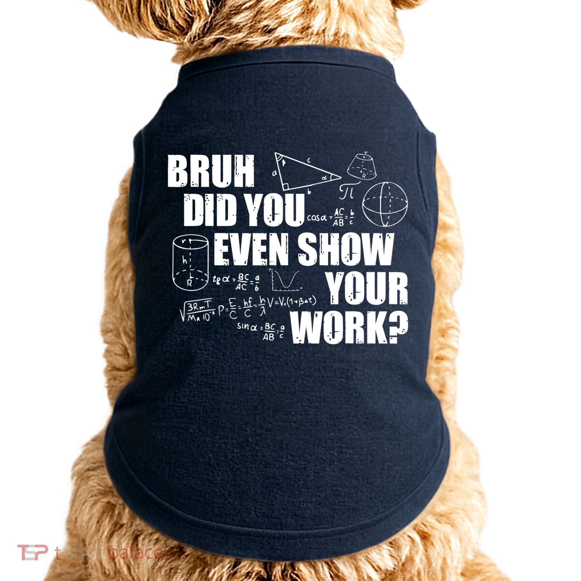 Bruh Did You Even Show Your Work Funny Math Teacher Saying Doggie Tank