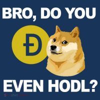 Bro Do You Even Hodl Funny Doge Coin Crypto Sweatshirt thumb 3