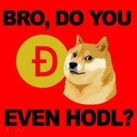 Bro Do You Even Hodl Funny Doge Coin Crypto Santa Hat thumb 1
