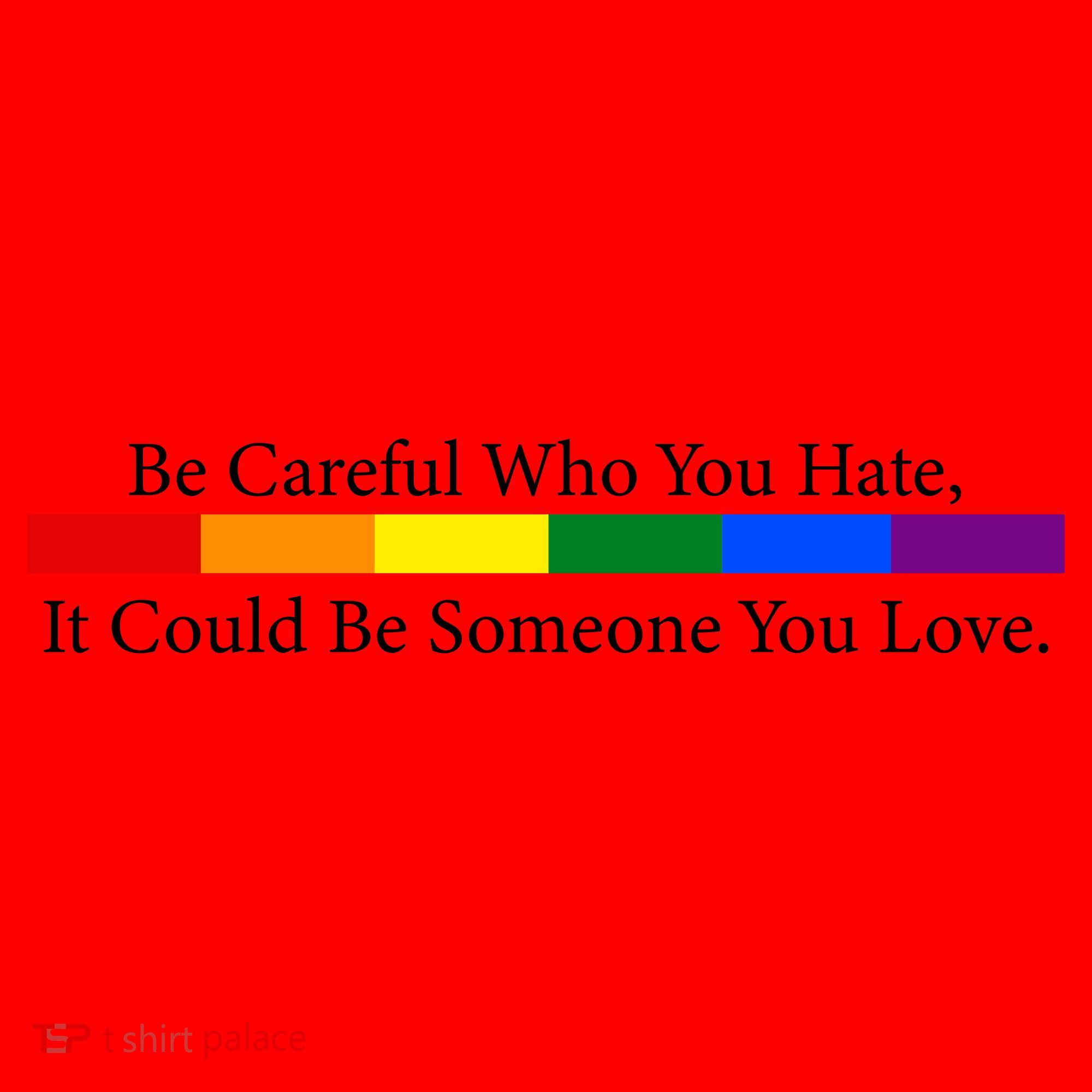 Be Careful Who You Hate, It Could Be Someone You Love Santa Hat