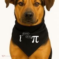 Be Rational Get Real Pi Math USA-Made Doggie Bandana thumb 1