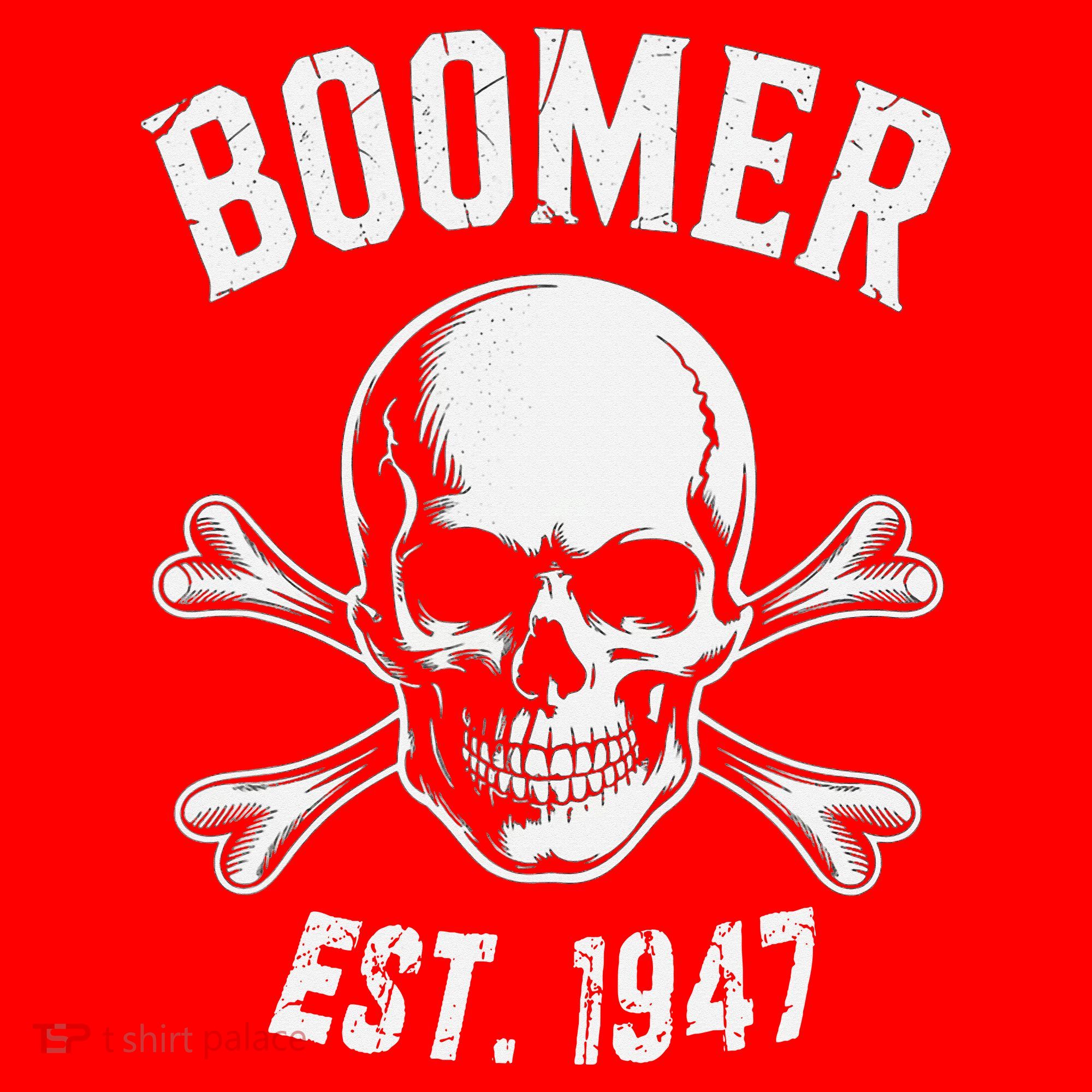 Boomer Est 1947 Baby Boomer Generation Santa Hat