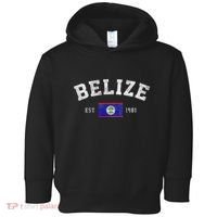 Belize Est. 1981 Belizean Flag Independence Day Toddler Hoodie thumb 0