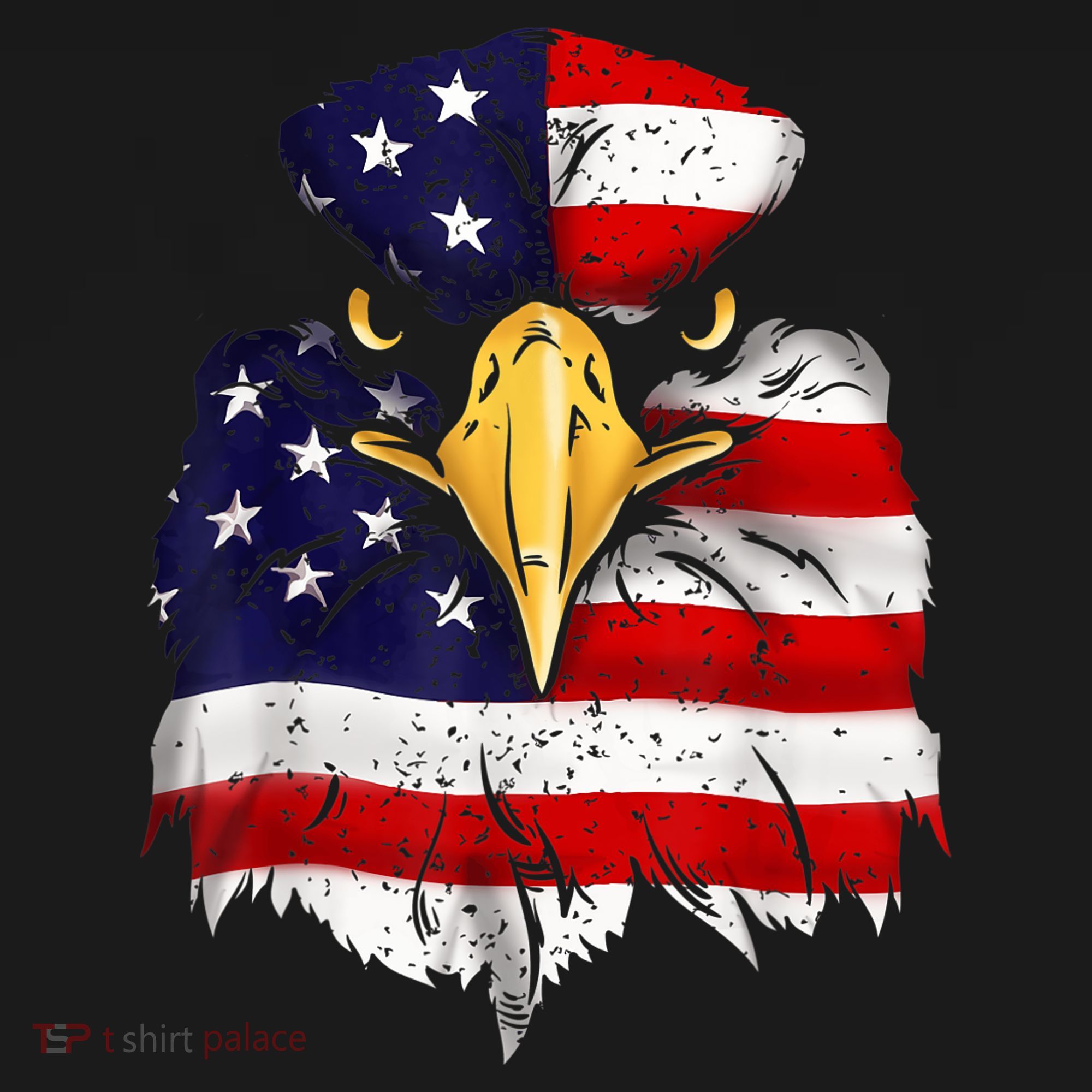 Bald Eagle 4th of July American Flag Patriotic Freedom USA Hoodie