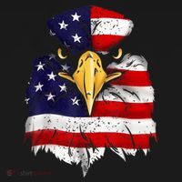 Bald Eagle 4th of July American Flag Patriotic Freedom USA Women's Hoodie thumb 2