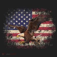 Bald Eagle 4th Of July Christmas Gift American Flag Country Beanie thumb 2