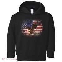 Bald Eagle 4th Of July Christmas Gift American Flag Country Toddler Hoodie thumb 0