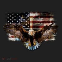 Bald Eagle 4th Of July American Usa Flag Eagle Patriotic Beanie thumb 2