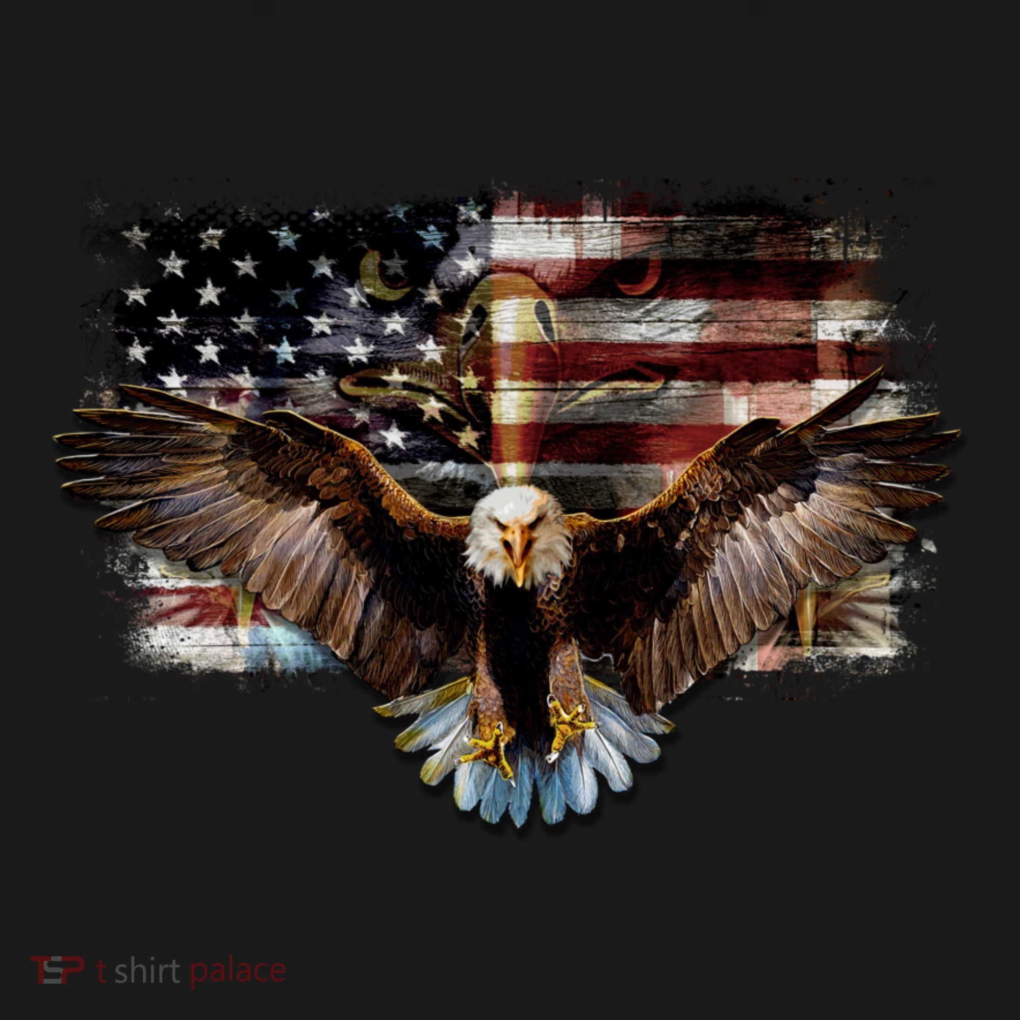 Bald Eagle 4th Of July American Usa Flag Eagle Patriotic Women's Hoodie