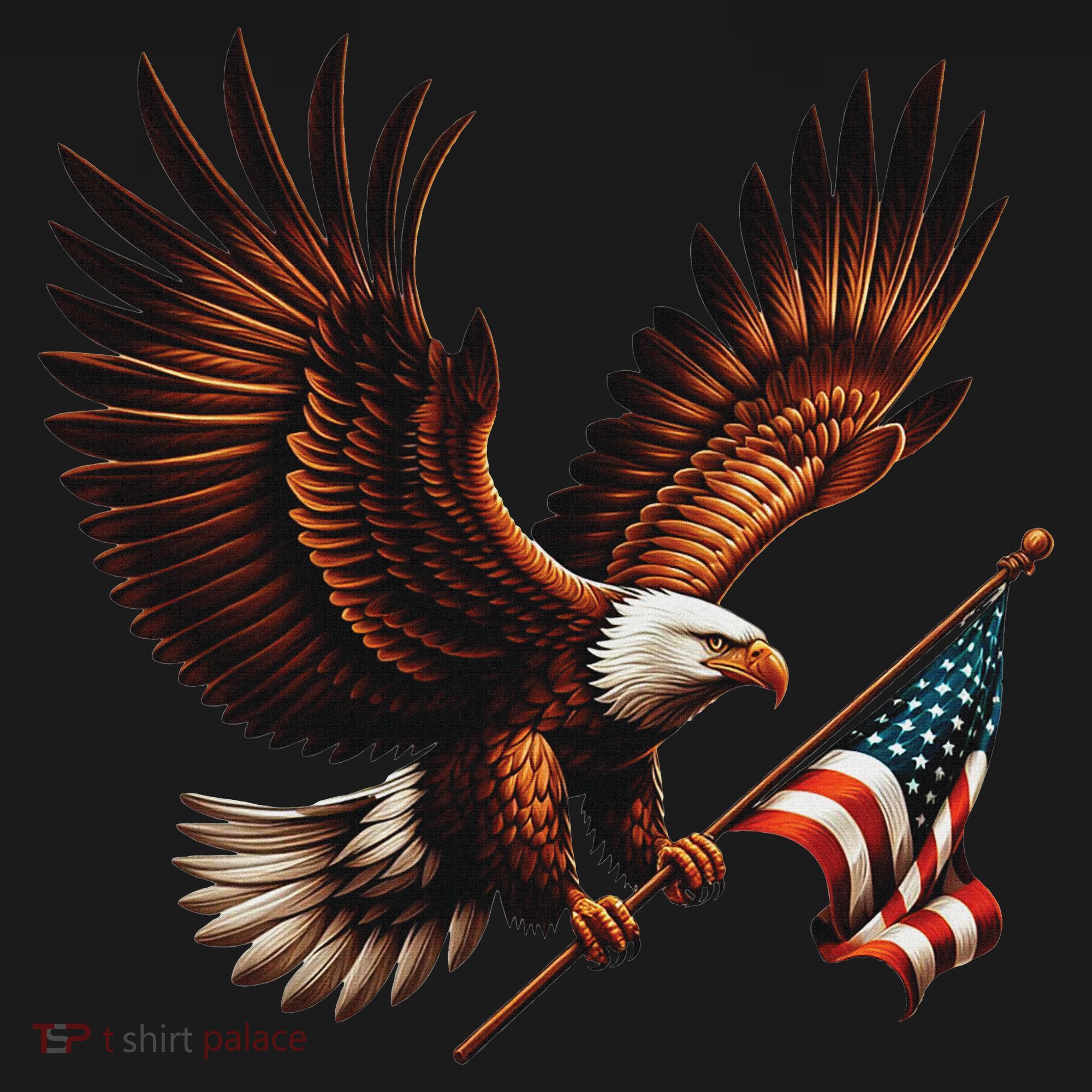 Bald Eagle American Flag 4th Of July Patriotic Man Woman T-Shirt