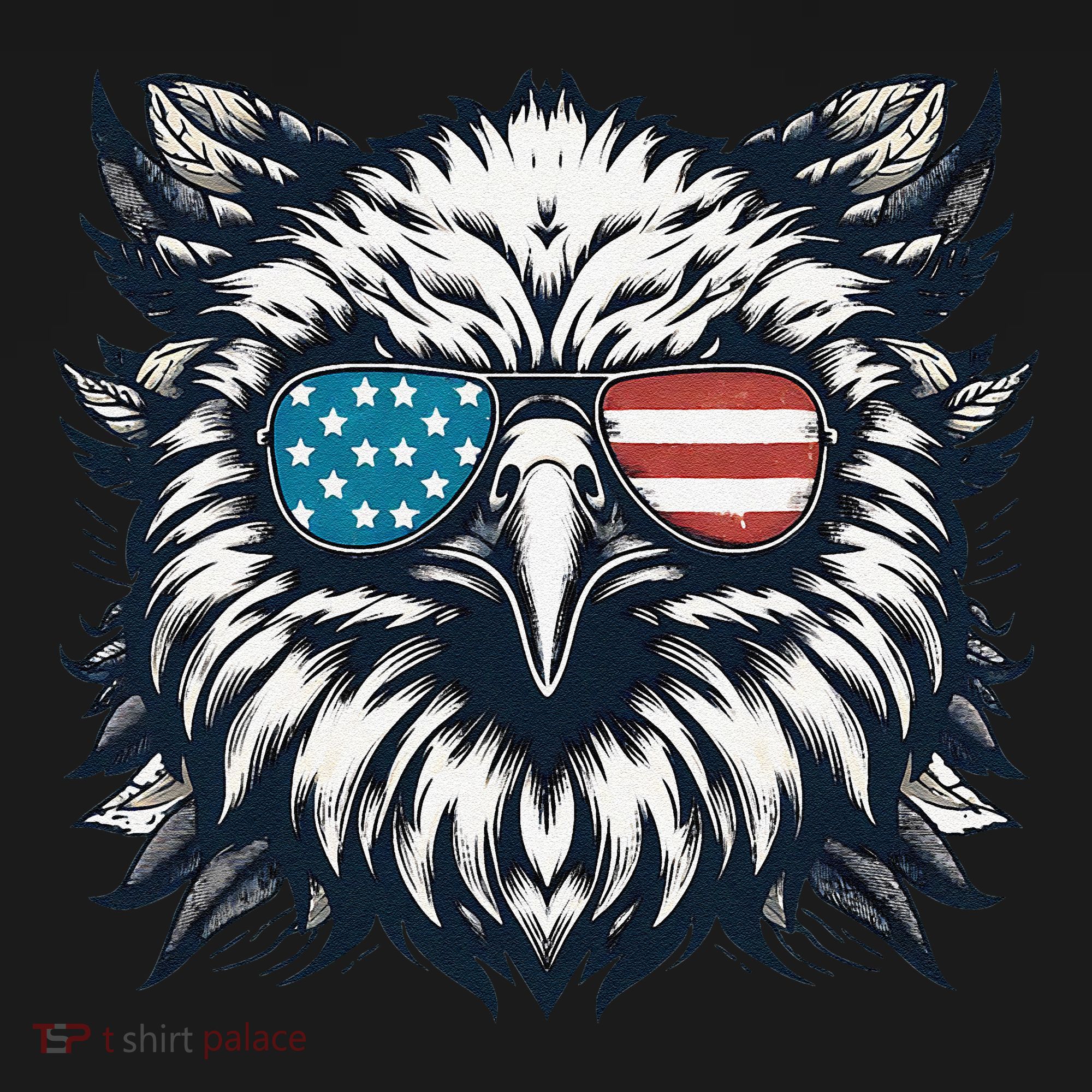 Bald Eagle American Usa 4th Of July Patriotic Funny Eagle Women's Hoodie