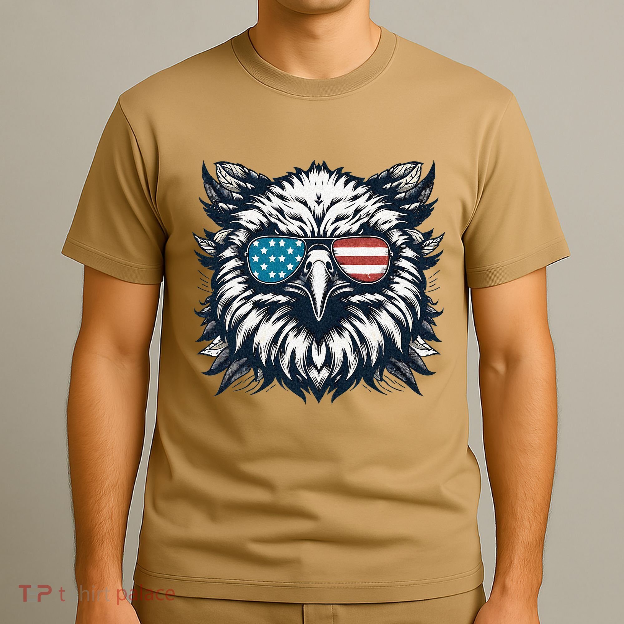 Bald Eagle American Usa 4th Of July Patriotic Funny Eagle T-Shirt