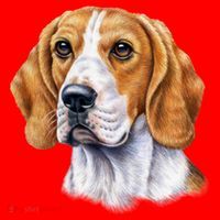 Beagle Face Santa Hat thumb 1