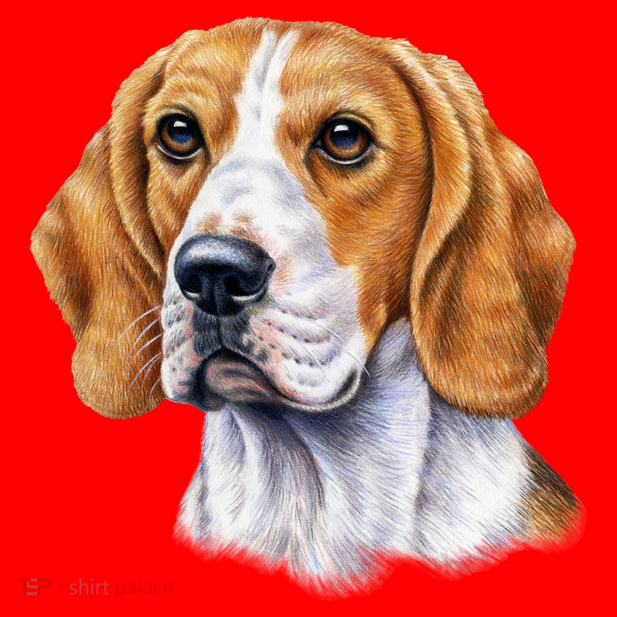 Beagle Face Santa Hat