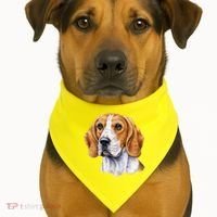 Beagle Face USA-Made Doggie Bandana thumb 1