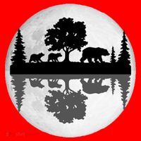 Bear Moon Wilderness Santa Hat thumb 1