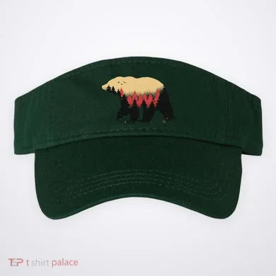 Visor