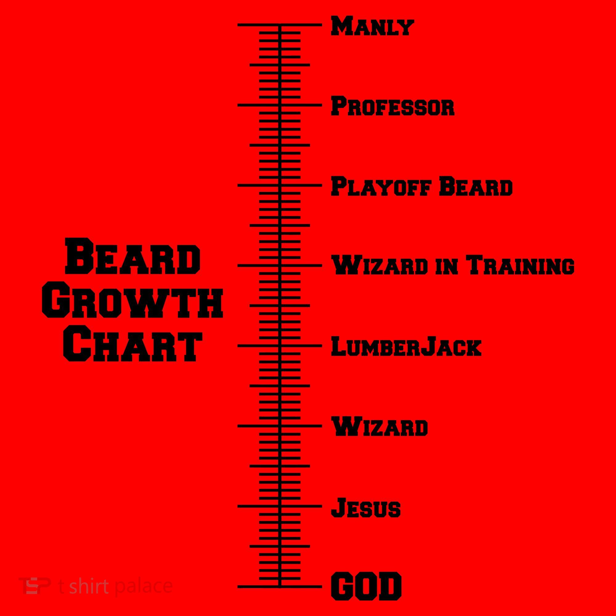 Beard Growth Ruler Funny Man To God Chart Santa Hat