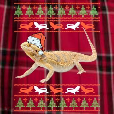 Bearded Dragon Christmas Men's Flannel Plaid Pajama Pants