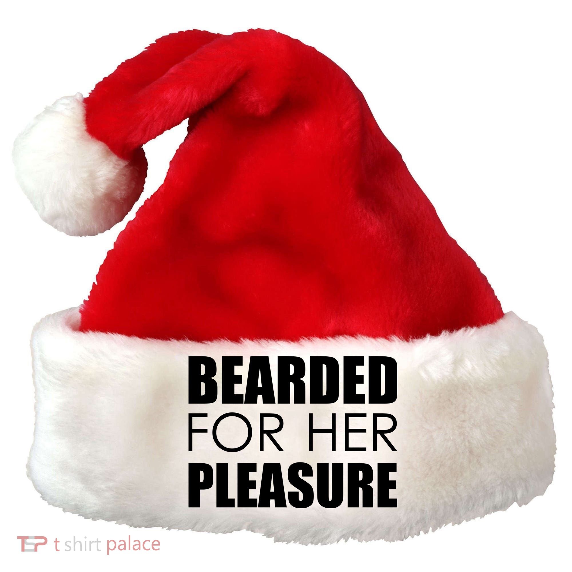 Bearded For Her Pleasure Beard Santa Hat