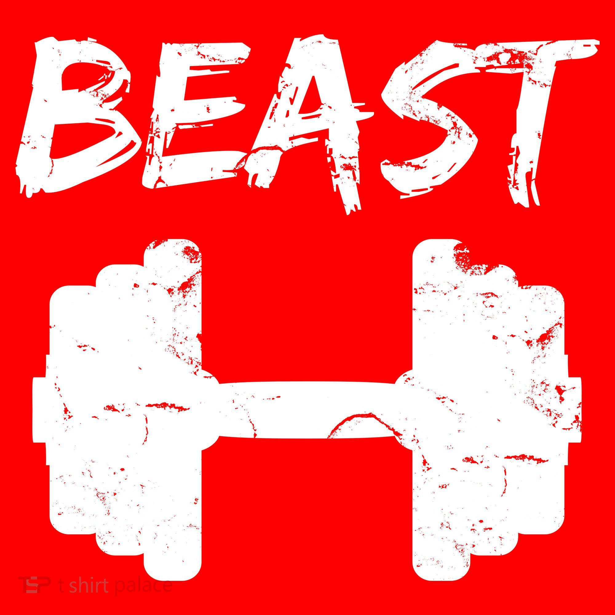 Beast Gym Logo Women's Long Sleeve Shirt