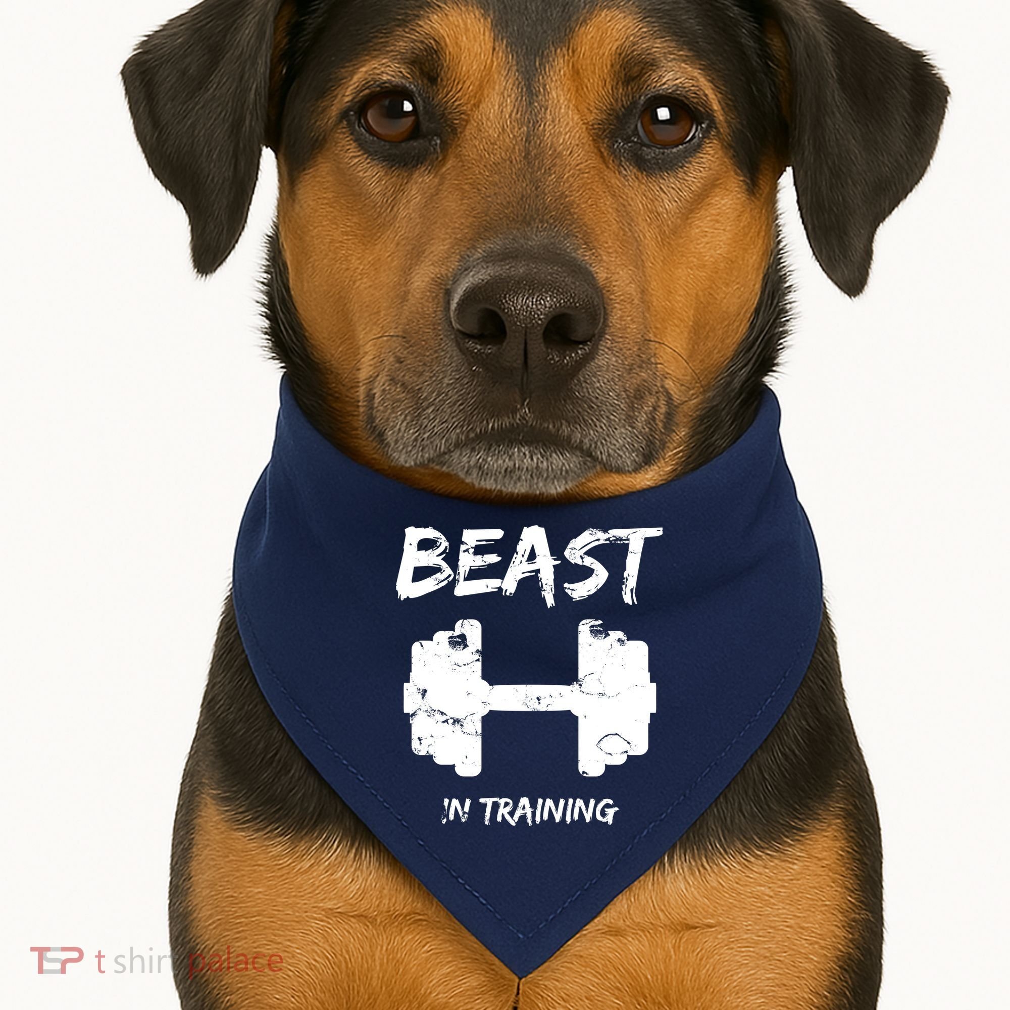 Beast In Training  USA-Made Doggie Bandana