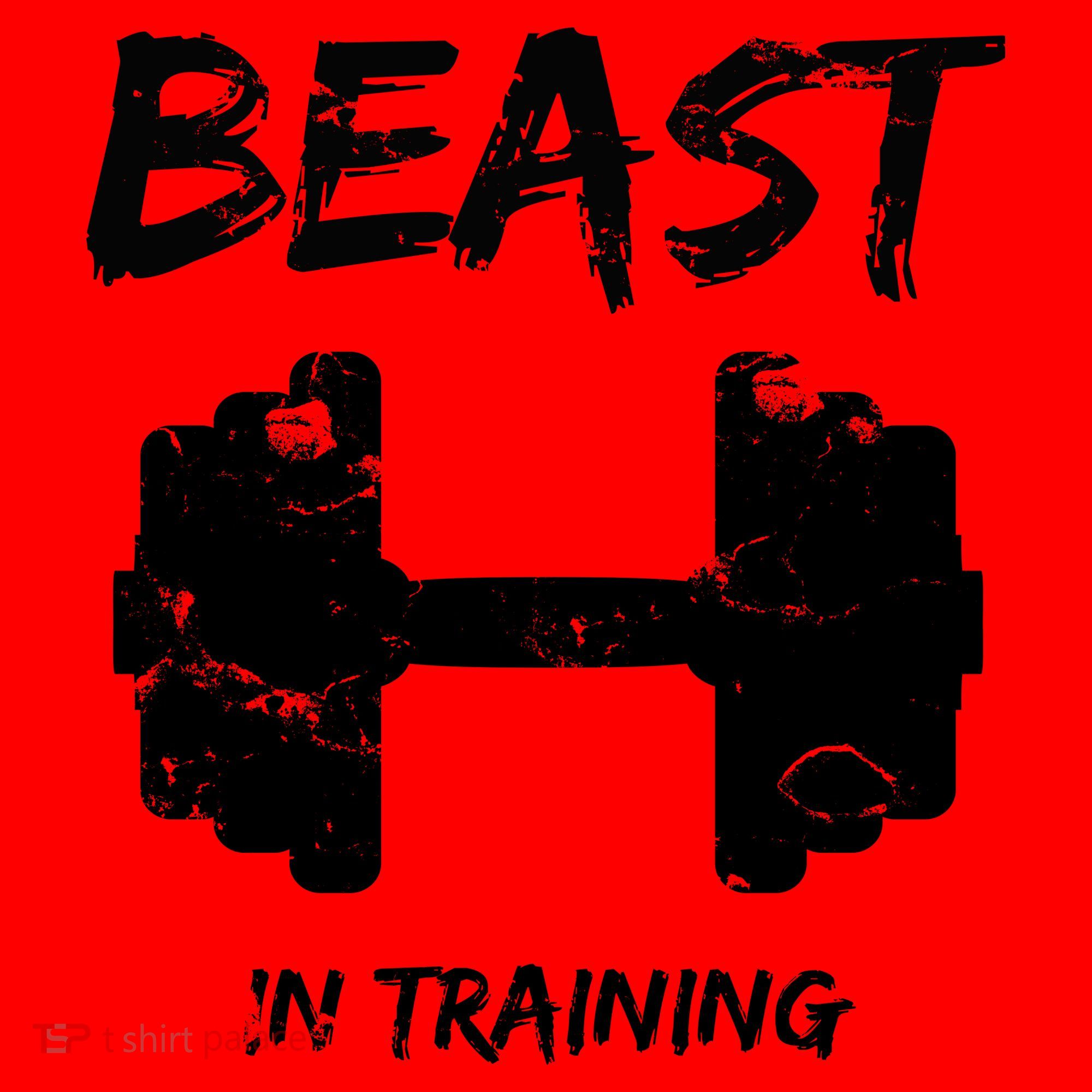 Beast In Training  Santa Hat