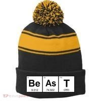 Beast Table of Elements Stripe Pom Pom Beanie thumb 0