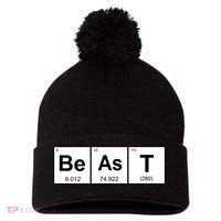 Beast Table of Elements Pom Pom 12in Knit Beanie thumb 0