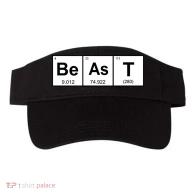 Visor